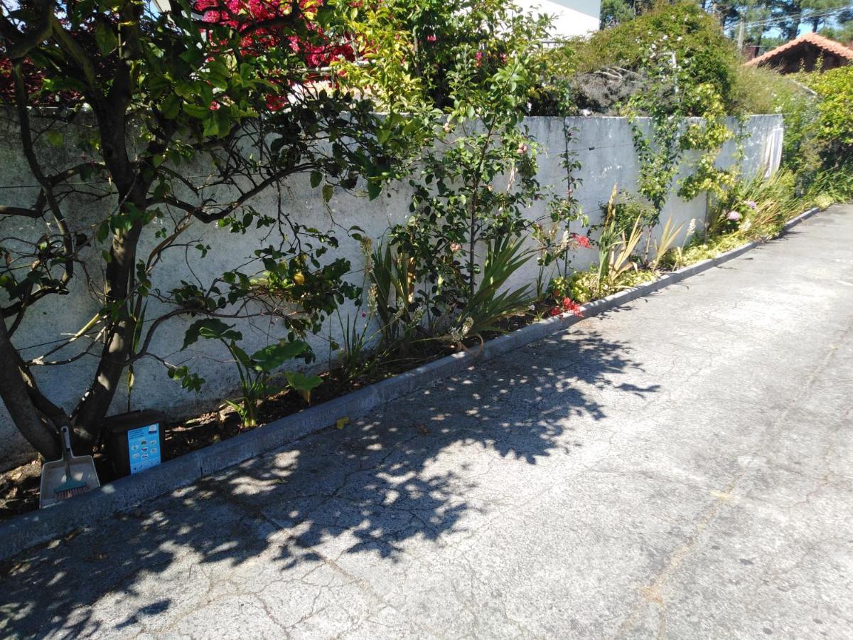 Cabedelo Seaside Guesthouse เวียนา โด กัสเตโล ภายนอก รูปภาพ